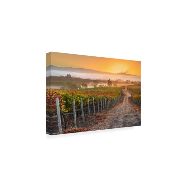 John Gavrilis 'Vineyard Sunrise' Canvas Art,12x19